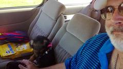 WP_20130806_014-DogsInShuttle.jpg
